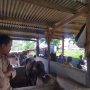 PETERNAK: Kondisi peternakan sapi di Cisurupan, Cibiru, Kota Bandung, Kamis (23/6). (Nizar/Jabar Ekspres)