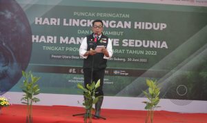 90 Persen Ekosistem Mangrove di Pantai Utara Jawa Barat Rusak, Ridwan Kamil Ajak Semua Pihak Lakukan Aksi Nyata