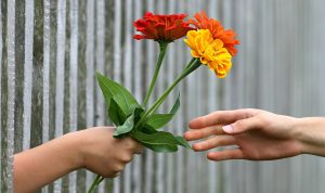 ILUSTRASI: memberi hadiah bunga. (Pixabay)