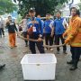 Petugas pemadam kebakaran berhasil mengevakuasi ular king kobra yang keluar dari dalam paket. (ist)