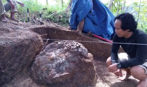 Kerangka Makhluk Purba Ditemukan Utuh di Sumedang, Kura-Kura Jutaan Tahun Silam