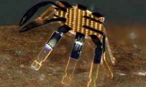 Ilmuwan Mengembangkan Robot Seukuran Kutu untuk Operasi Bedah