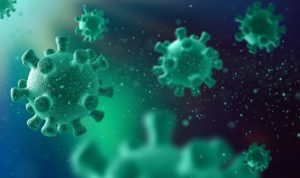 Virus Polio Pemicu Kelumpuhan Akan Muncul Setelah 40 Tahun Menghilang Virus Polio Pemicu Kelumpuhan Akan Muncul Setelah 40 Tahun Menghilang