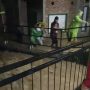 Banjir di Garut Rusak 200 Rumah Lebih, Berikut Data Lengkapnya