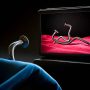 Ilustrasi Kecanduan nonton video porno yang akan berdampak pada kesehatan mental (pixabay)