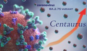 Varian Baru Omicron Centaurus, Lebih Cepat Menyebar dan Bisa Menerobos Kekebalan Tubuh Varian baru Omicron Centaurus disebut Ahli lebih cepat menyebar dan bisa menerobos kekebalan tubuh. (pixabay)