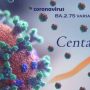Varian baru Omicron Centaurus disebut Ahli lebih cepat menyebar dan bisa menerobos kekebalan tubuh. (pixabay)