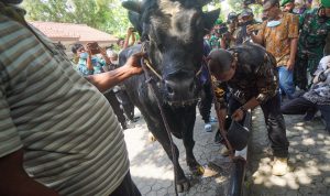 dr Indro Cahyano di acara sosialisasi PMK di Lamongan bersama Dahlan Iskan.--