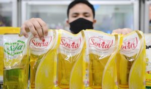 harga minyak goreng hari ini