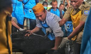 Pelatihan penyembelihan hewan kurban. Foto. Deni Jabar ekspres.