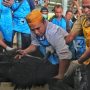 Pelatihan penyembelihan hewan kurban. Foto. Deni Jabar ekspres.