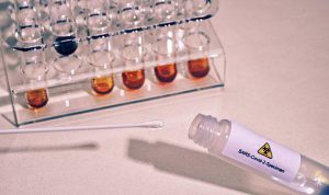 Ditemukan Subvarian Baru Omicron BA.2.75, Lebih Menular dan Bisa Menembus 2 Dosis Vaksin Ilustrasi. Covid-19 Subvarian baru Omicron BA.2.75, Lebih Menular dan Bisa Menembus 2 Dosis Vaksin. (Pixabay)