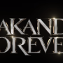 Trailer Wakanda Forever Resmi Liris, Siapakah Sosok Pengganti Black Panther Yang Baru?