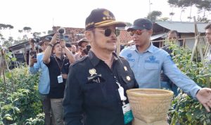 Jelang Idul Adha, Mentan SYL Tegaskan Ketersediaan Cabai Aman