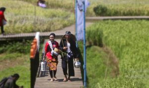 Para Petani Catwalk di Tengah Sawah Mulyaharja Kota Bogor Para Petani Catwalk di Tengah Sawah Mulyaharja Kota Bogor