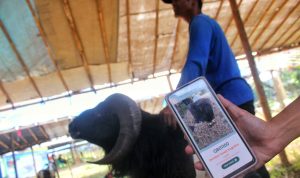 Warga Kota Bandung Tak Perlu Khawatir Berkurban Warga Kota Bandung Tak Perlu Khawatir Berkurban