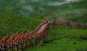 Taman Langit Pangalengan menjadi salah satu tempat wisata baru yang sedang viral. (instagram @tamanlangitpangalengan)