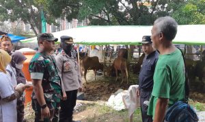 Hewan Kurban Masuk ke Kota Bogor Bakal Dikawal Polisi Hewan Kurban Masuk ke Kota Bogor Bakal Dikawal Polisi
