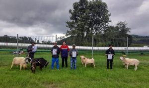 Rayakan Idul Adha, GeoDipa Salurkan Hewan Kurban Untuk Masyarakat Sekitar Wilayah Kerja Perusahaan