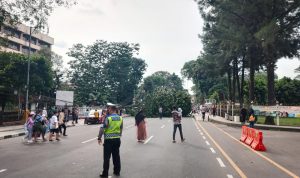 Pohon Dekat Istana Bogor Tumbang, Disperumkim Sebut Tak Ber-KTP Pohon Dekat Istana Bogor Tumbang, Disperumkim Sebut Tak Ber-KTP