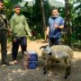 Daya Group Bersama Anak Perusahannya Salurkan Hewan Kurban Untuk Warga Sekitar