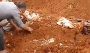 JNE Beri Klarifikasi Soal Bansos Pemerintah yang Terkubur, Sebut Sesuai Prosedur