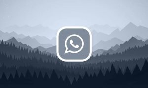 download og whatsapp terbaru