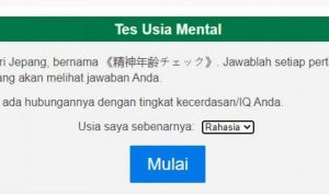 tes usia mental