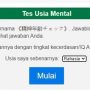 tes usia mental