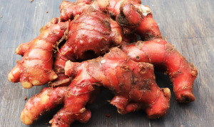 10 Khasiat Baik Jahe Merah bagi Kesehatan Tubuh 10 Khasiat Baik Jahe Merah bagi Kesehatan Tubuh