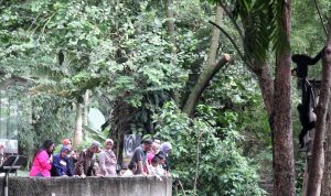 Pengelola Destinasi Wisata di Kota Bandung Keberatan dengan Syarat Pengunjung Wajib Vaksin Booster