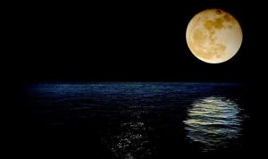 Fenomena Supermoon Akan Terjadi 14 Juli 2022, Begini Cara Melihatnya