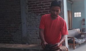 Ancaman Cuaca Ekstrim Bagi Pertanian, Petani di Cicalengka Lakukan Ini Agar Tak Gagal Panen
