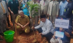 Lahan Kritis di Jabar Seluas 700 Ribu Hektare Target Pemprov Jabar Ditambah, Jadi Tanam 75 Juta Pohon