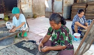 Para pekerja yang sedang mengolak cicak dari basah menjadi cicak kering siap ekspor. (radarcirebon)