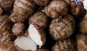 Kimpul Alternatif Pengganti Nasi Beras, Cocok untuk Diet Kimpul atau Talas Belitung yang dijadikan alternatif untuk pengganti beras. (foto: Radar Semarang)