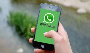 Beberapa fitur baru WhatsApp yang dirasa pengguna sangat berguna. (pixabay)