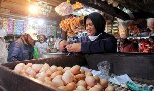 Jokowi Komentari Harga Telur Tinggi: Dua Pekan ke Depan Insya Allah Turun Ilutrasi penjualan telur di pasar Cicaheum. Jokowi bahkan komentari harga telur yang melambung tinggi (deni /Jabarekspres)