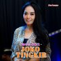 download mp3 joko tingkir