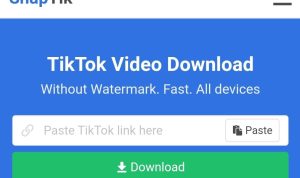 download video tiktok snaptik