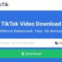 download video tiktok snaptik