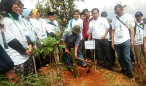 Alih Fungsi Guna, Sebabkan Puluhan Hektare Lahan di DAS Sungai Citarum Kritis konservasi lahan kritis - Kegiatan Penanaman Pohon