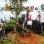 konservasi lahan kritis - Kegiatan Penanaman Pohon