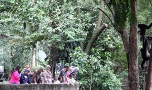 Kuasa Hukum Kebun Binatang Minta Pemkot Bandung Transparan soal Dokumen Sewa
