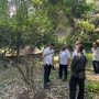 Polisi dan BRIN Ungkap Keberadaan Bibit Pohon Kokain di Kebun Raya Bogor