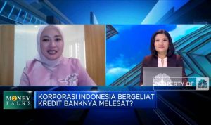 Penyaluran Kredit bank bjb