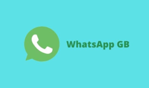 Cara Untuk Update GB WA dengan Link Download Terbaru 2022