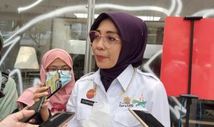 Konser atau Event Diperbolehkan Dalam Menyambut HUT RI, Wajib Perhatikan Beberapa Syarat