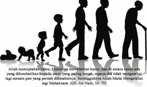 Jangan Kaget! 5 Fase Jenjang Kehidupan Fase jenjang kehidupan