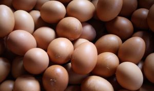 Harga Telur Makin Meroket, Pedagang Keluhkan Larinya Pelanggan